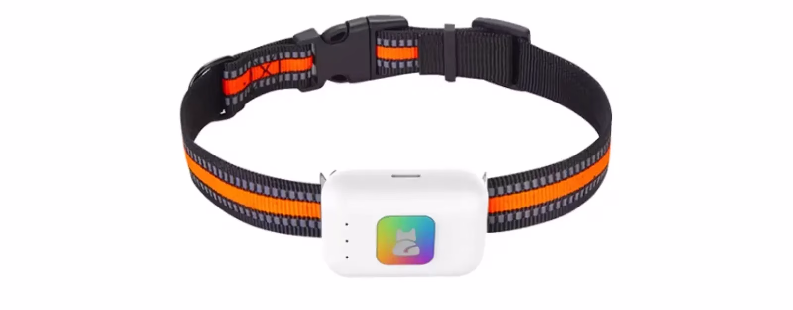 PET-GPS Nomad Dog - Image 4