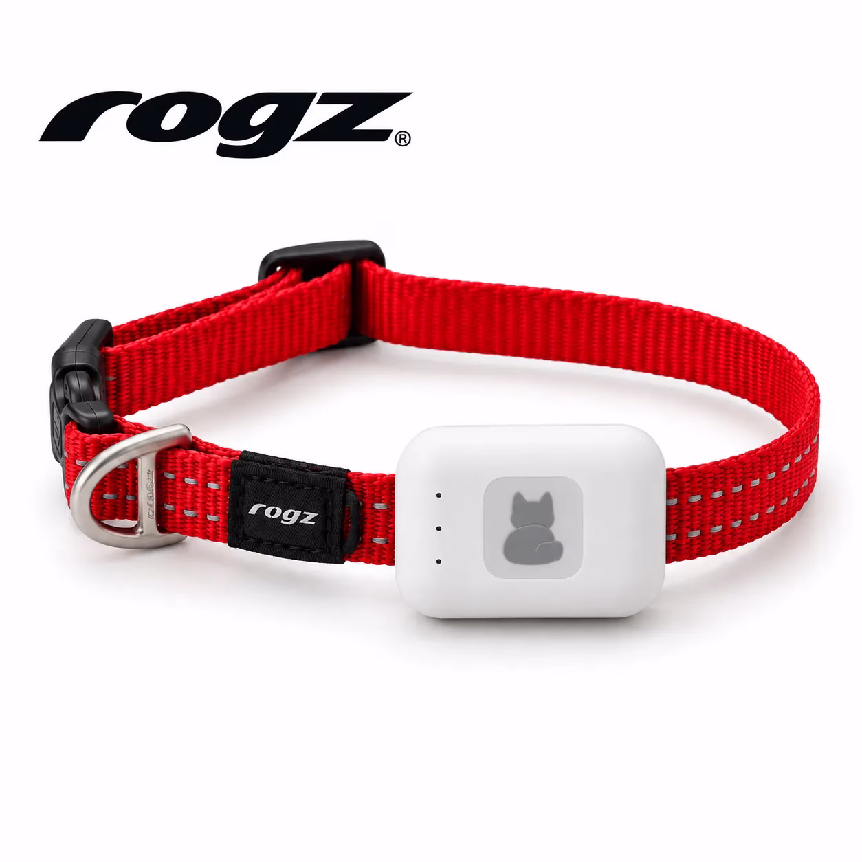 Nomad Dog + Rogz Red collar
